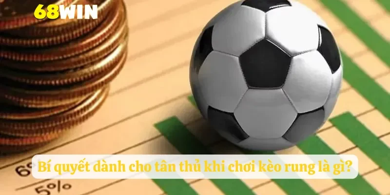 Bí quyết dành cho tân thủ khi chơi kèo rung là gì?