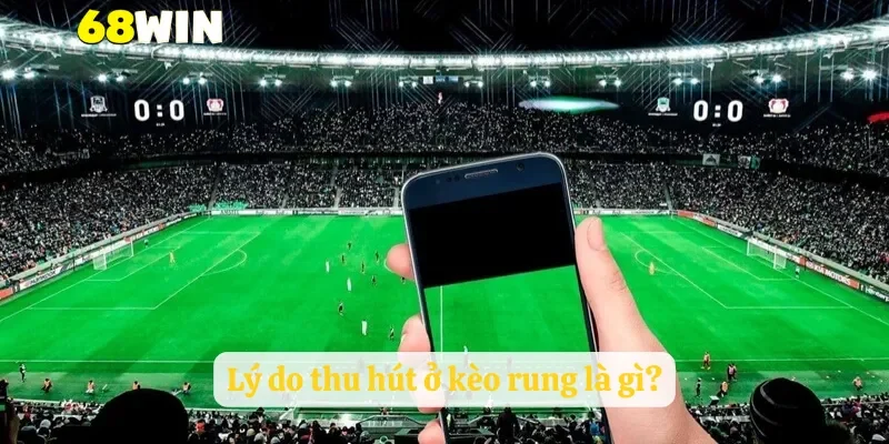 Lý do thu hút ở kèo rung là gì?