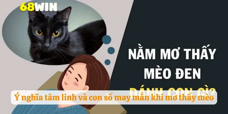 Ý nghĩa tâm linh và con số may mắn khi mơ thấy mèo